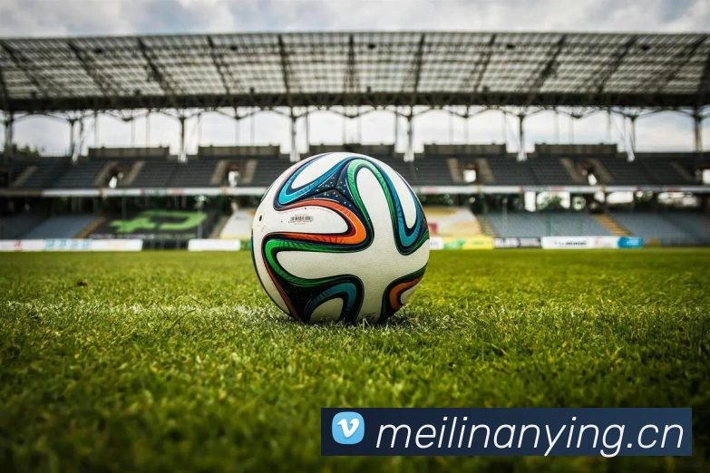 九游老哥j9官网入口发展历程